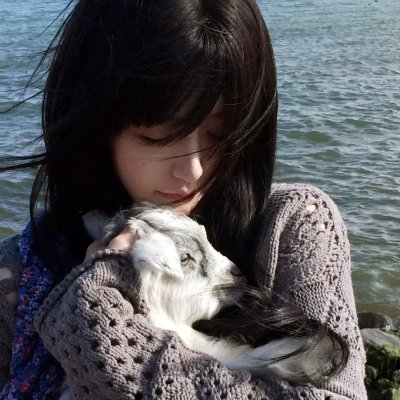 有法无天